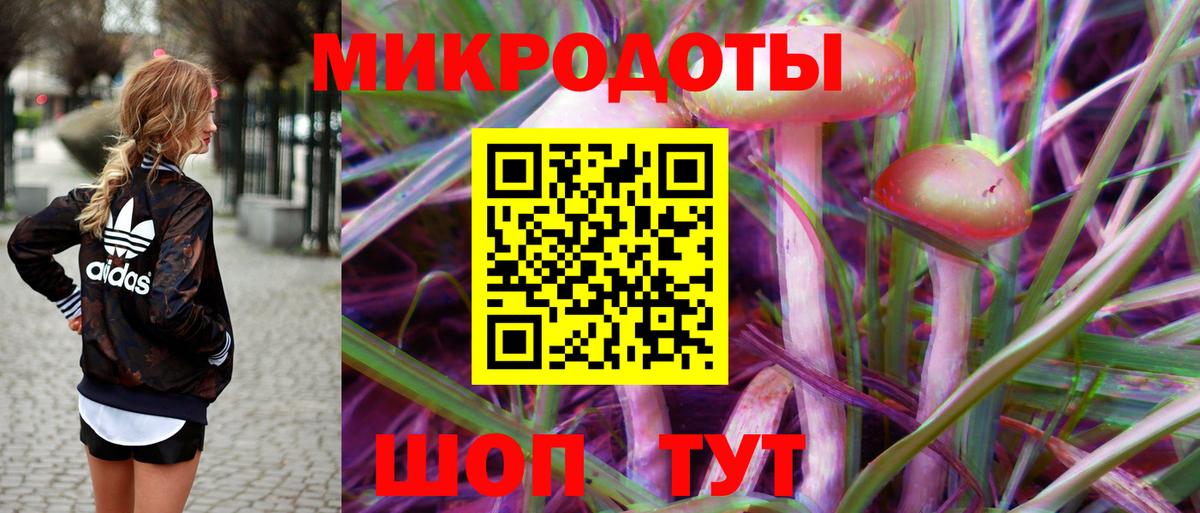Псилоцибиновые грибы Cubensis Кстово