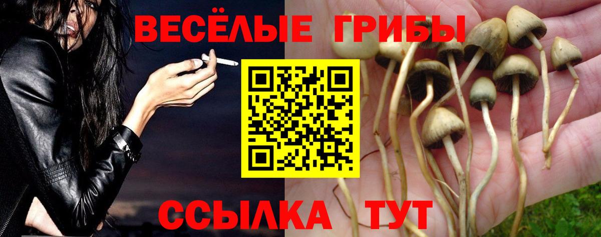 Псилоцибиновые грибы GOLDEN TEACHER  Вход с VPN  Галлюциногенные грибы GOLDEN TEACHER  Кстово 